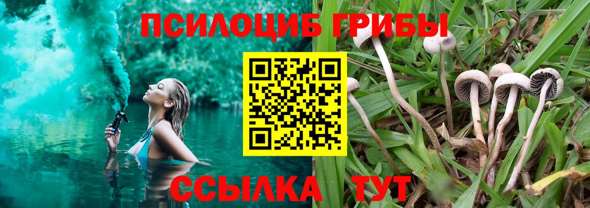 Галлюциногенные грибы GOLDEN TEACHER  Вход с VPN  Жуковский  Галлюциногенные грибы ЛСД 